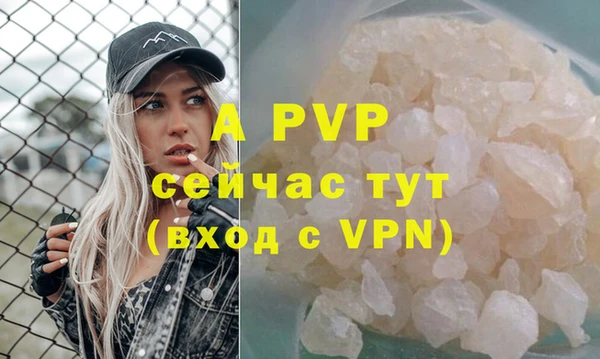 apvp Богородицк